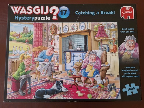 Wasgij mystery catching - mystery, a