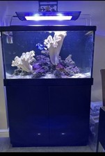Red Sea marine Tank Full Set Up, No Leaks, Auto Water Level Top Up, Wave Maker,