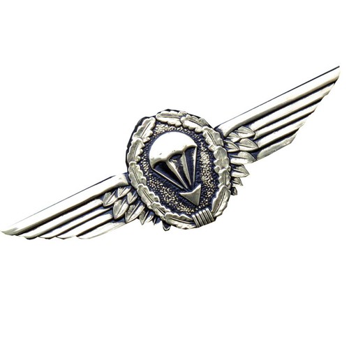 German airborne bronze metal - german,