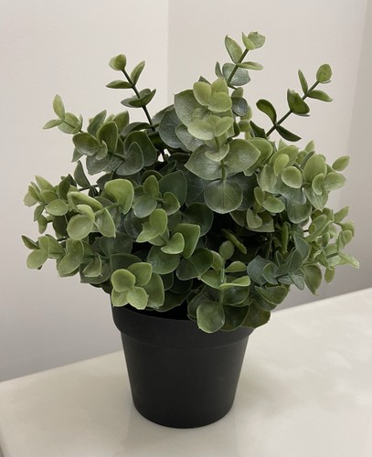 Ikea decorative plant green - ikea,