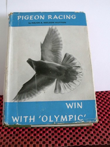 Vintage 1968 pigeon - pigeon, racing