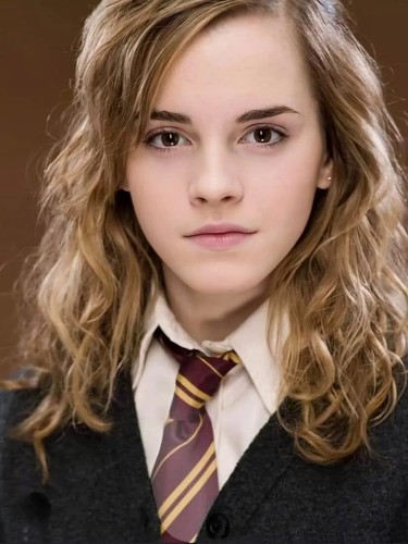Iconic memorabilia harry - ,