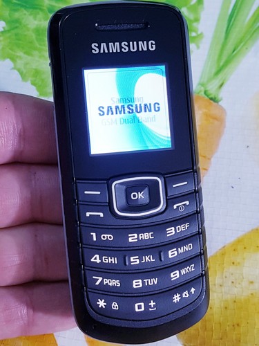 Samsung e1080i - gt-e1080i, (unlocked)