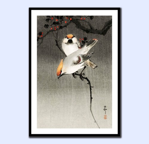 Japanese waxwing birds flowers - japanese,