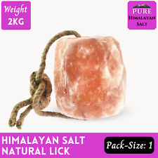 Himalayan salt Lick Horse