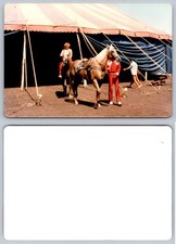 5.25 x 3.5 INCH Circus Horse