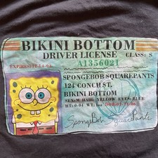 SpongeBob Squarepants drivers