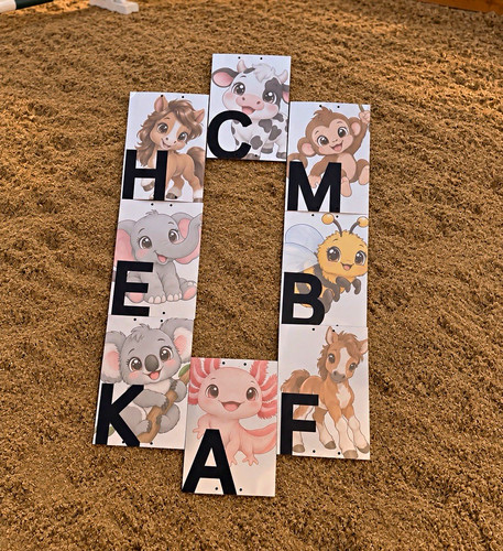 Childrens dressage letters