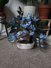Wisteria Bonsai Tree - Blue