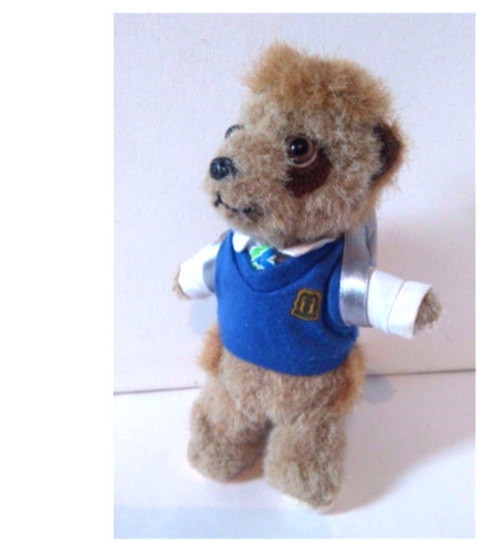 Bogdan meerkat school - meerkat, boy