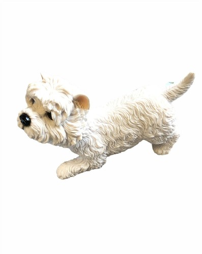 West highland terrier dog - west,
