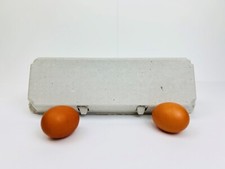 Non-Printed Egg Carton - 100