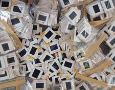 Vintage 1960s-1970s Photo