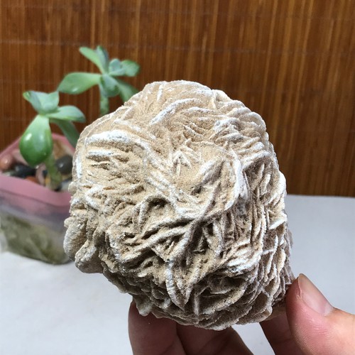 90mm natural desert rose - 90mm,