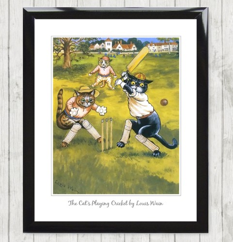 Cats playing cricket - cats,