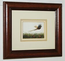 D M HINCHLIFFE Ornithological Watercolour Painting , Cock Pheasant Taking Flight