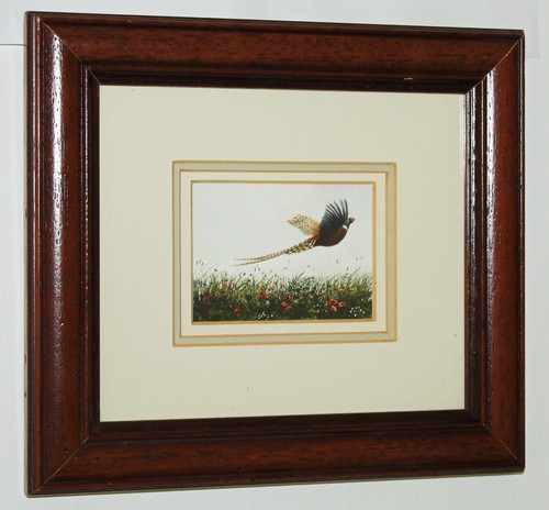 Hinchliffe ornithological - m,
