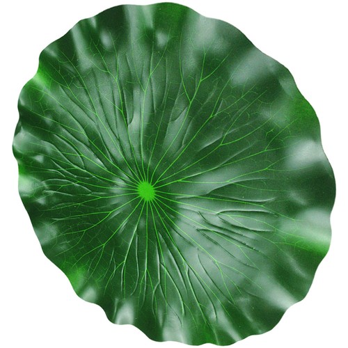 Simulated lotus leaf office - simulated,