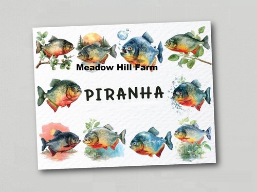 Fridge magnet tropical - fridge,