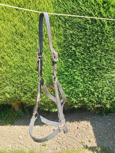 Thinline flexible filly - thinline,
