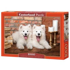 Jigsaw Puzzle 1000 pcs Castorland – Various Styles Available