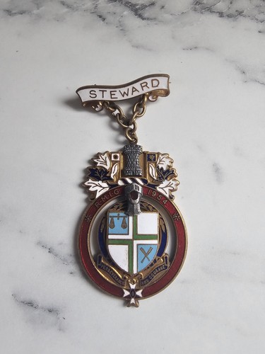Steward jewel badge enamel - steward,