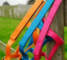 Rhinegold Field Safe Foal