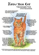 Ginger Cat Tea Towel - Ginger Tom Cats - Ginger Cats - Ginger Toms