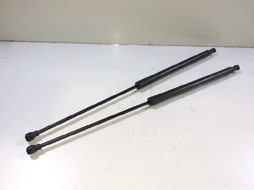 792520 bonnet gas strut - bonnet,