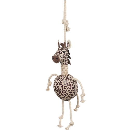Lemieux giraffe horse stable - lemieux,