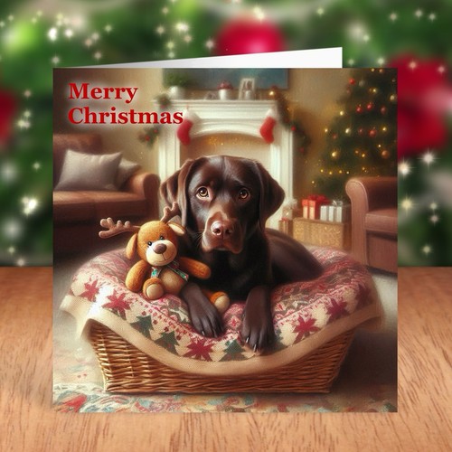 Chocolate labrador dog - labrador,