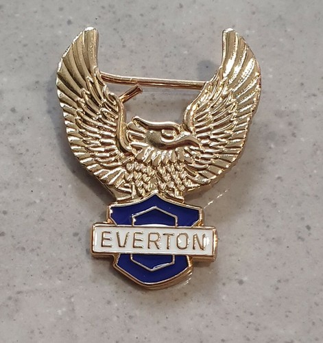 Everton pin badge - pin,