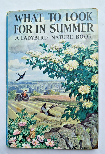 Ladybird book what - ladybird,