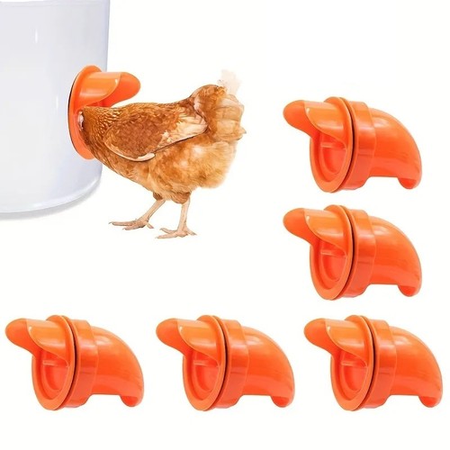 Diy chicken feeder kit - chicken,