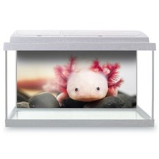 Fish Tank Background 90x45cm -