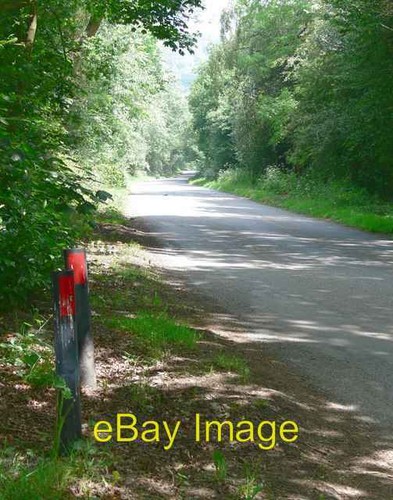 Photo 6x4 priory lane - photo,