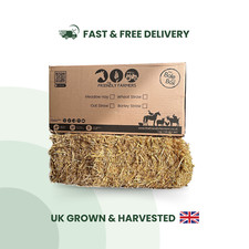 Oat straw bale - straw,