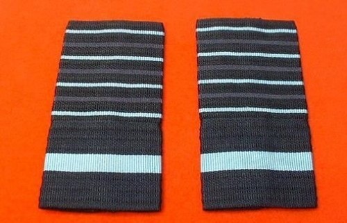 Raf greatcoat marshal the - marshal, of