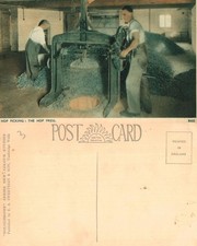 Vintage Postcard - Hop Picking