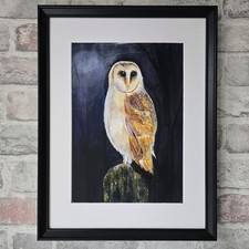 Original Watercolour Painting Barn Owl Bird Wildlife Art