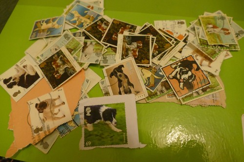 Dogs animals thematic - animals,