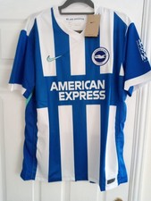 brighton and hove albion home