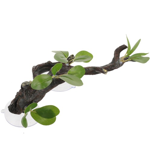 Reptile terrarium accessories - reptile,