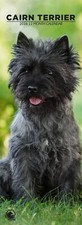 Cairn Terrier Dog 2026 Slim