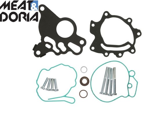 Fuel vacuum tandem pump - , repair