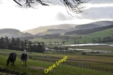 Photo 6x4 Paddock and grazing