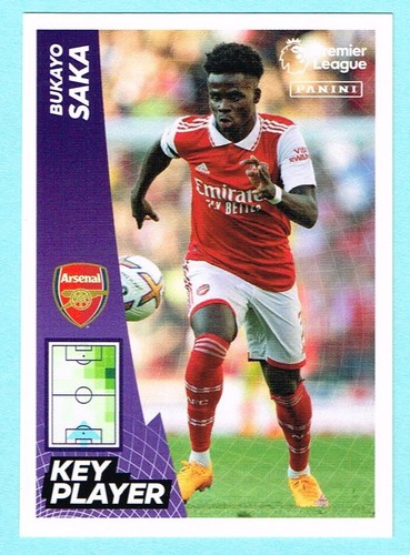Panini premier league 2023 - panini,