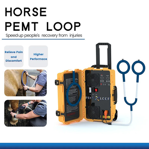 Pmst loop pemf physio - pemf,