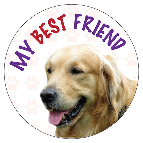 Golden retriever dog - 2, x