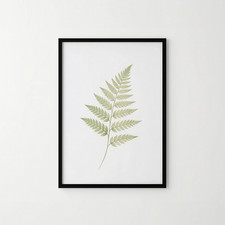 A4 Borderless Fern Print